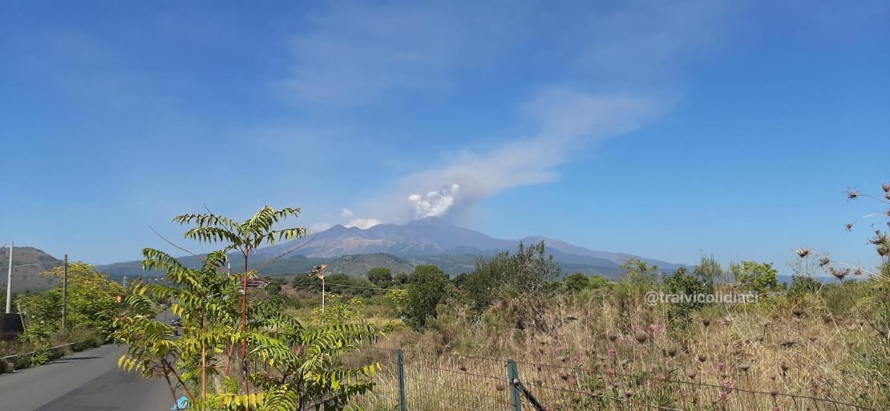 Tra I Vicoli Di Aci Daire Acireale Dış mekan fotoğraf